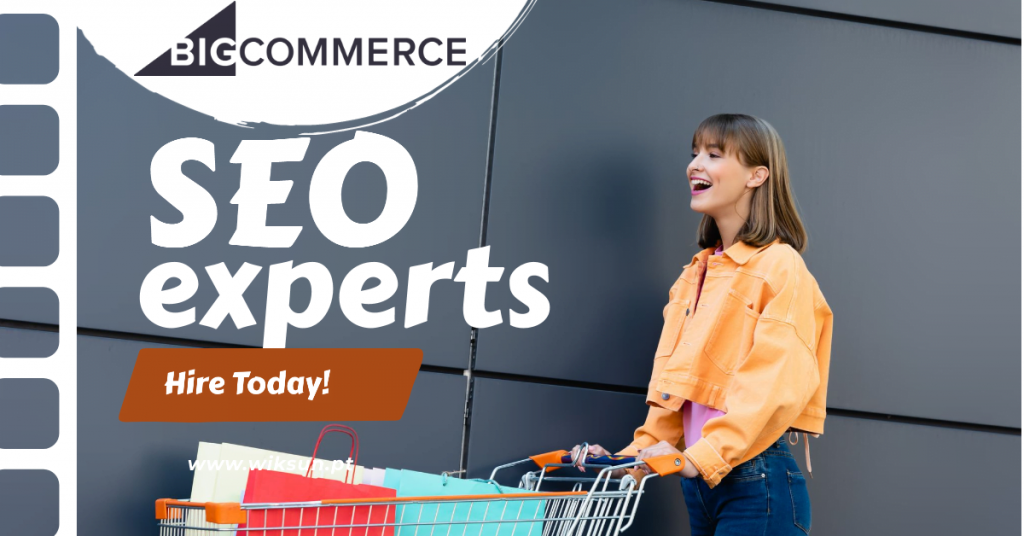 BIGCOMMERCE SEO EXPERT