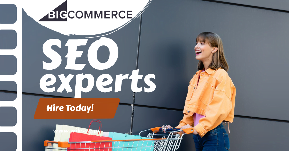 Your own BigCommerce SEO Expert Freelancer