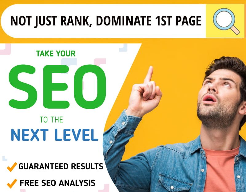 seo expert india