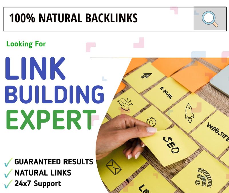 link building expert